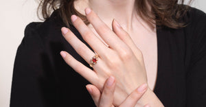 Engagement proposal in Buffalo New York